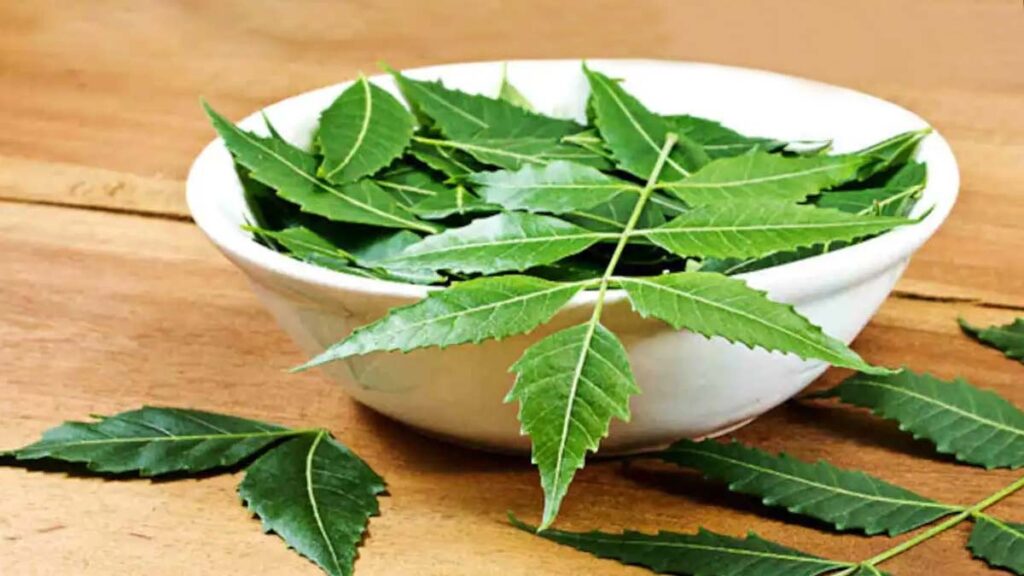 Neem Nourishment: Exploring The Skin Benefits Of Neem Comprehensive List Of Vitamins
