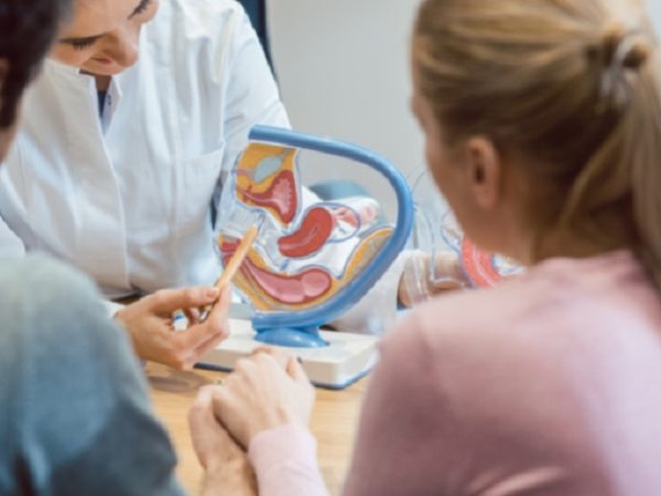 Fertility Counselor