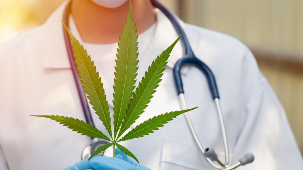 Winter Blues? Cannabis Strains That Can Help You Relax and Recharge